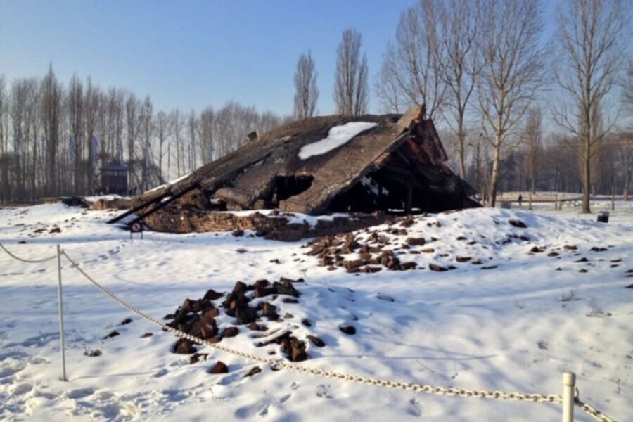 From Krakow: Auschwitz-Birkenau Private or Shared Tour - The guides’ role: kindness, clarity, and readiness