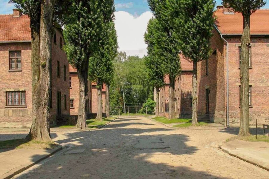 From Krakow: Auschwitz-Birkenau & Schindler's Factory Tour - Podgórze Break: Coffee, Quick Food, and Limited Time