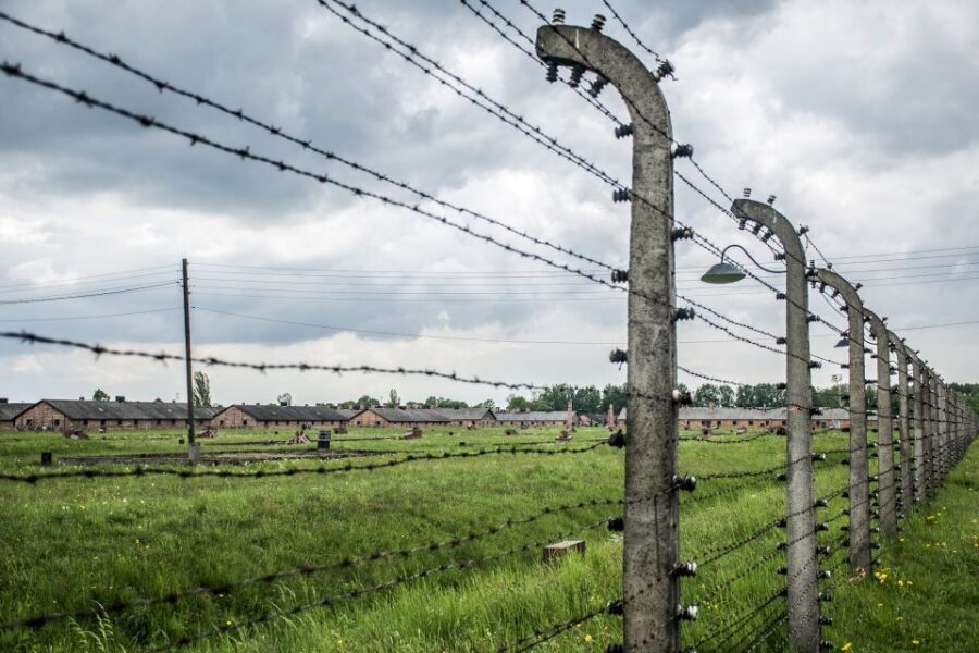 From Krakow: Auschwitz Birkenau Self-Guided Tour - Practical tips: what to bring, what to skip, and who should consider it