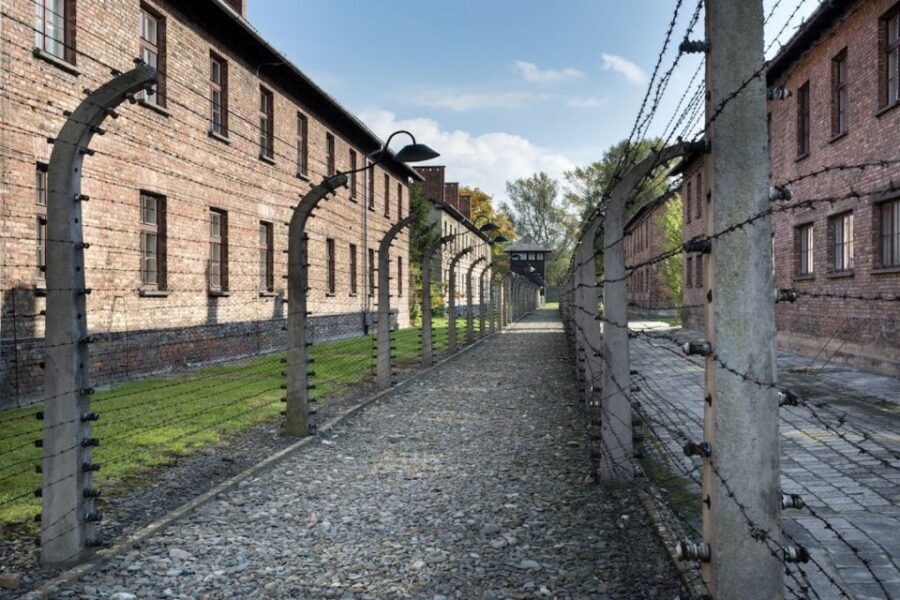 From Krakow: Auschwitz-Birkenau Tour - Getting to Oswiecim and making it inside on time