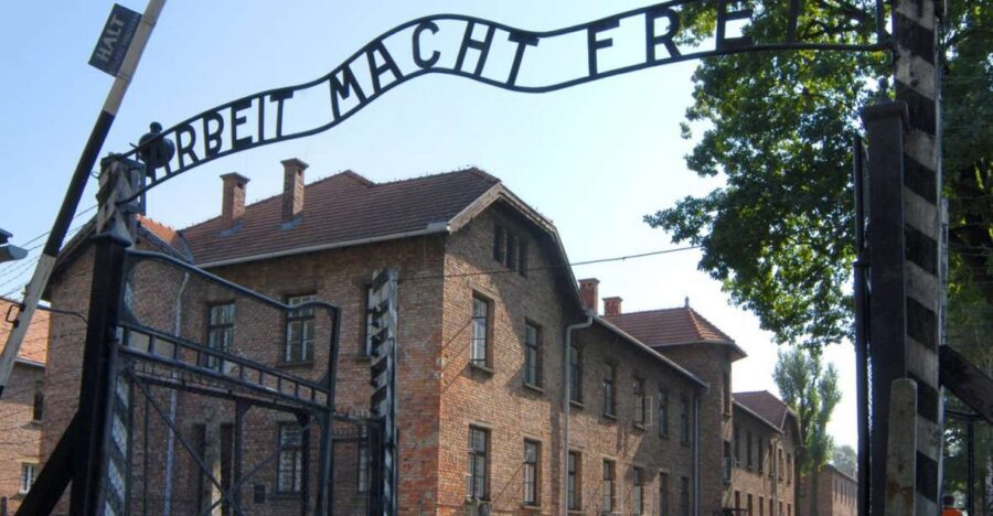 From Krakow: Auschwitz-Birkenau Tour - The guided tour style: what you gain from a live guide