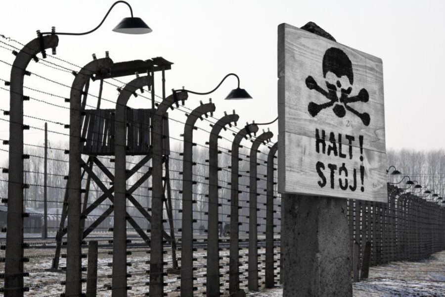 From Krakow: Auschwitz-Birkenau Tour - What to know before you go: IDs, strict names, and bag limits