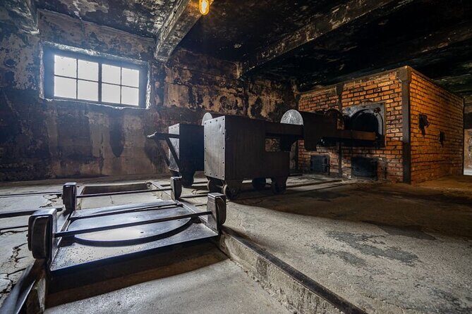 From Kraków: Auschwitz-Birkenau Tour with Lunch Box and Pick Up - Group size, headsets, and English guidance: how to actually follow along