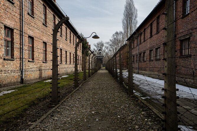 From Kraków: Auschwitz-Birkenau Tour with Lunch Box and Pick Up - Price and value: is $94.93 worth it for this day?