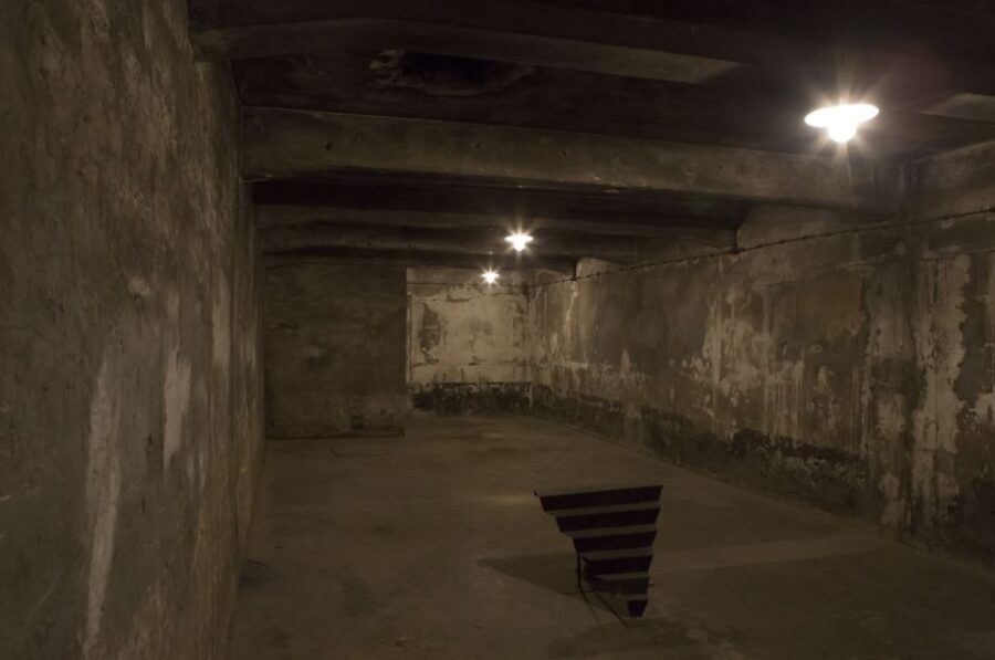From Krakow: Auschwitz-Birkenau Tour - Auschwitz I: the museum that starts the story