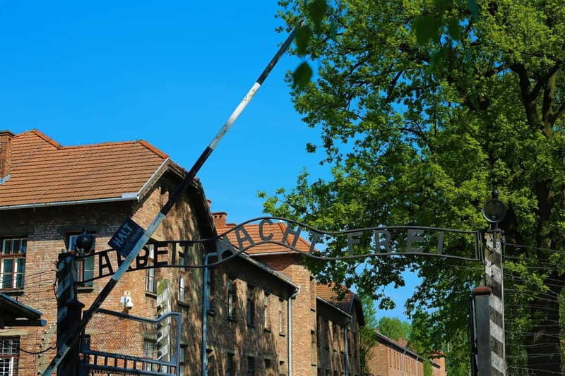 From Krakow: Auschwitz Museum and Wieliczka Salt Mine Tour - One Day, Two Worlds: Auschwitz-Birkenau and Wieliczka Salt Mine