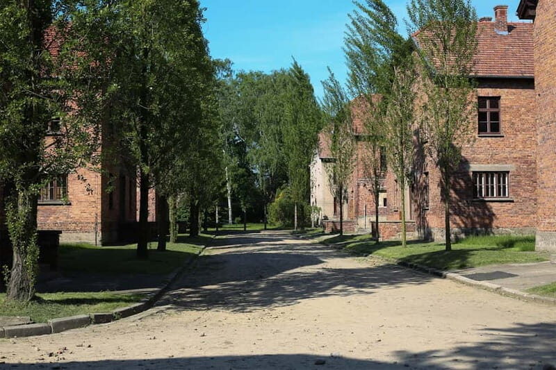 From Krakow: Auschwitz Museum and Wieliczka Salt Mine Tour - Price and Value: What You’re Paying For