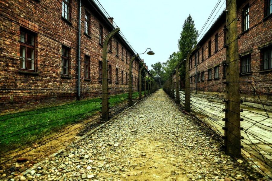 From Krakow: Guided Auschwitz-Birkenau Group Tour by Minivan - Key highlights that matter (not just nice to have)