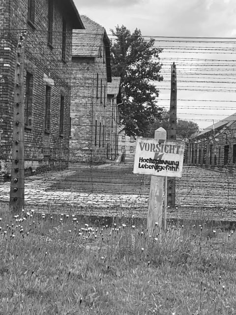 From Krakow: Guided Auschwitz-Birkenau Group Tour by Minivan - Price and value: is $68 a good deal?