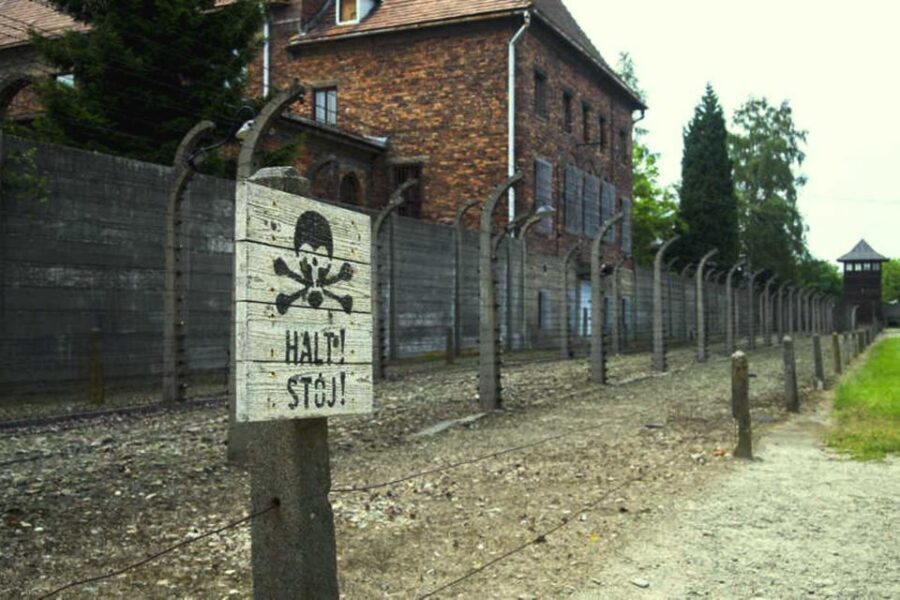 From Krakow: Guided Auschwitz-Birkenau Group Tour by Minivan - A day trip that’s built around one big goal