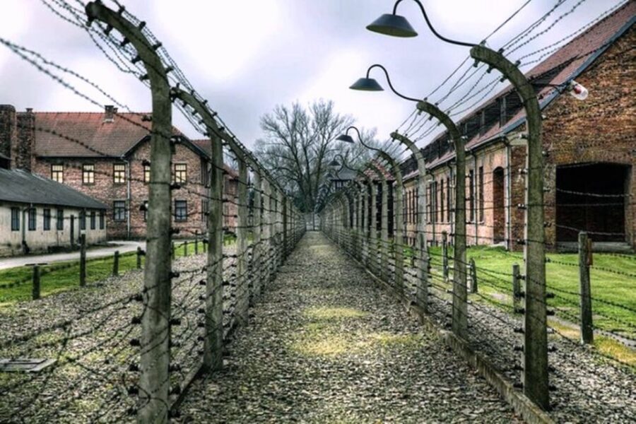 From Krakow: Guided Auschwitz-Birkenau Group Tour by Minivan - Skip-the-line tickets: what they really buy you
