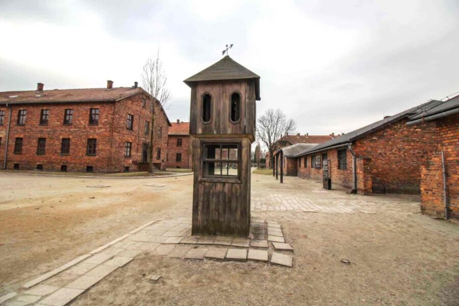 From Krakow: Guided Auschwitz-Birkenau Group Tour by Minivan - Auschwitz II-Birkenau: what “scale” looks like in person