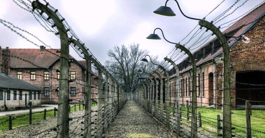 From Krakow: Guided Auschwitz-Birkenau Group Tour by Minivan - Walking pace, group size, and the reality of crowds