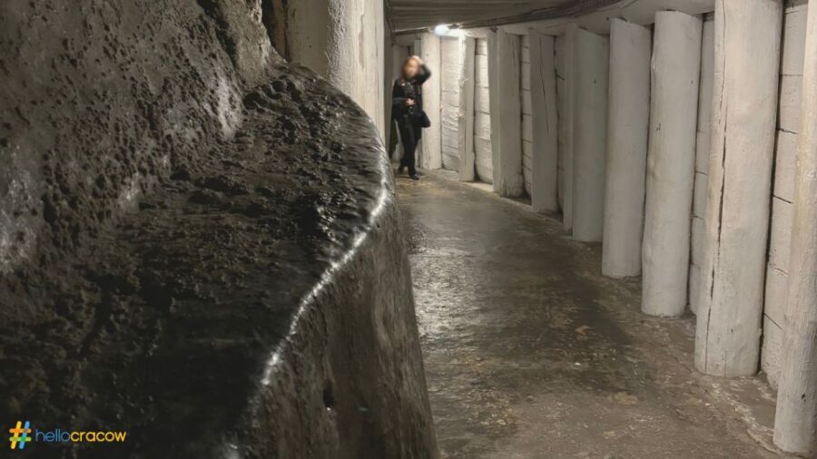 From Krakow: Guided Tour in Wieliczka Salt Mine - What to wear, how to pace yourself, and where comfort counts