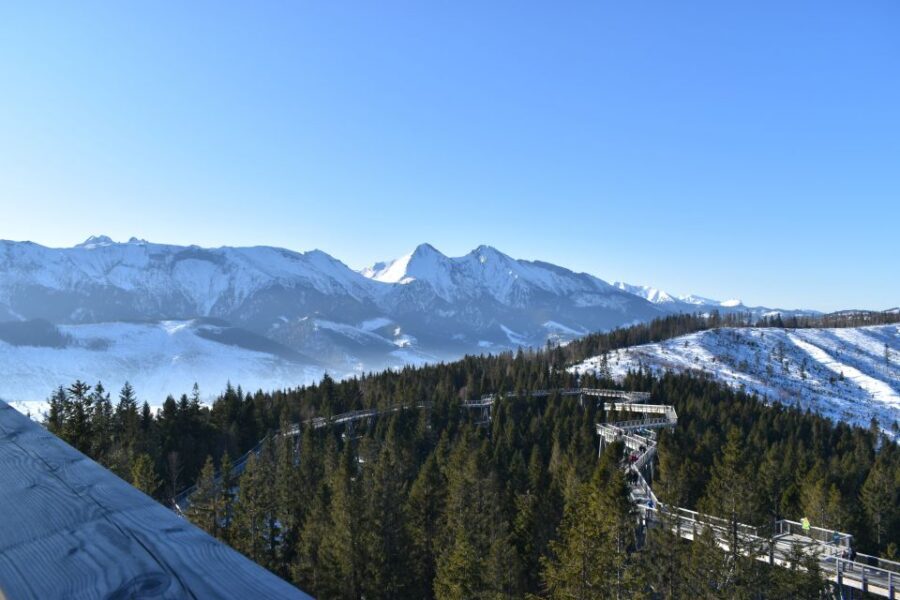 From Krakow: Morskie Oko and Slovakia Treetop Walk - Bachledova Valley treetop walk: heights, bridges, and real panorama time