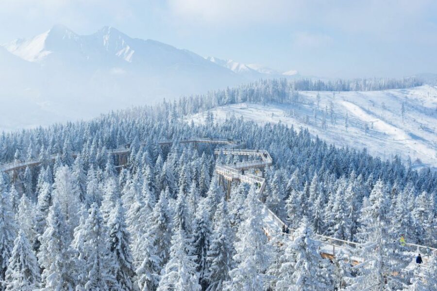 From Krakow: Morskie Oko and Slovakia Treetop Walk - Price and value: what you’re paying for at $251 per person