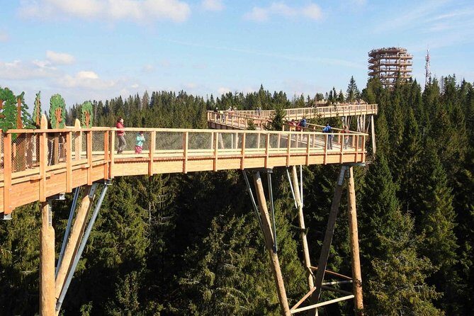 From Krakow: Morskie Oko in the Tatra Mountains and Slovakia Treetop Walk - Lake Morskie Oko: the 2-hour walk that earns the payoff