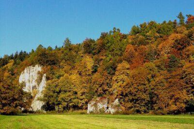 From Kraków: Ojców National Park and Pieskowa Skała Castle - Getting from Kraków: door-to-door pickup and timing reality