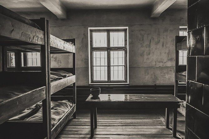 From Krakow: Private Transfer to Auschwitz-Birkenau - Admission timing at Auschwitz-Birkenau: meeting points, tickets, and line help