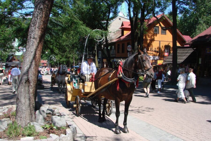 From Krakow: Slovakia Treetop Walk, Zakopane & Thermal Spa - Getting from Kraków: Climate-Controlled Bus Time + Scenic Changes