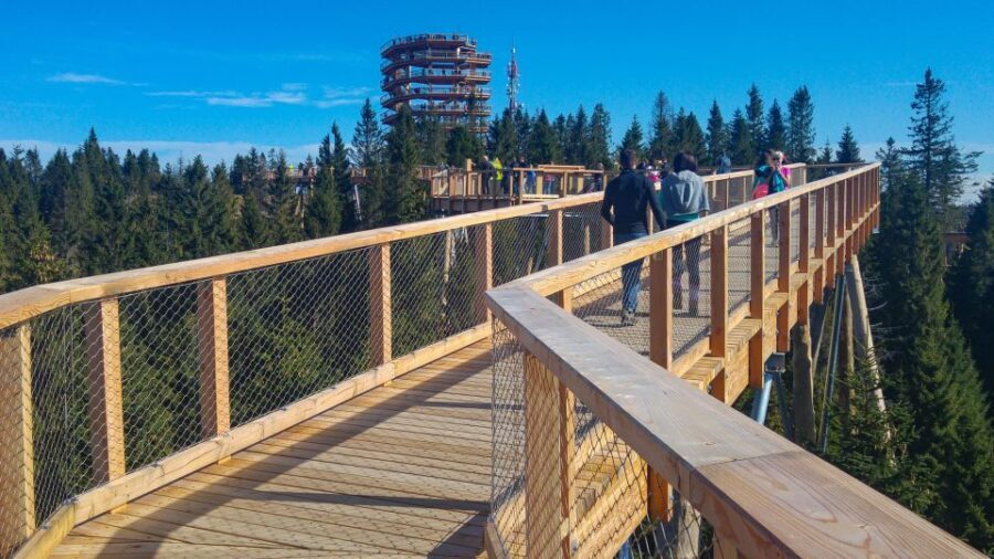From Krakow: Slovakia Treetop Walk, Zakopane & Thermal Spa - Timing and Trade-Offs: The Main Thing to Know Before You Go