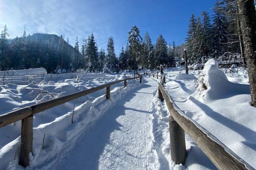 From Krakow: Tour to Zakopane with Tasting & Hotel Pickup - Is it good value at $86: where the cost goes
