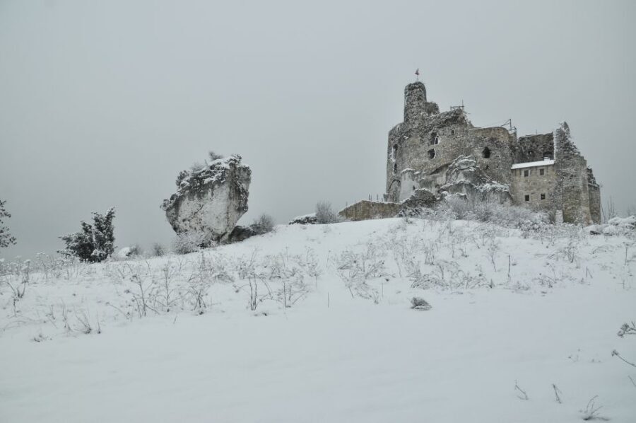 From Krakow: Trail of the Eagles’ Nests Day Tour - Rabsztyn and Ogrodzieniec Ruins: Big Scale, Big Views