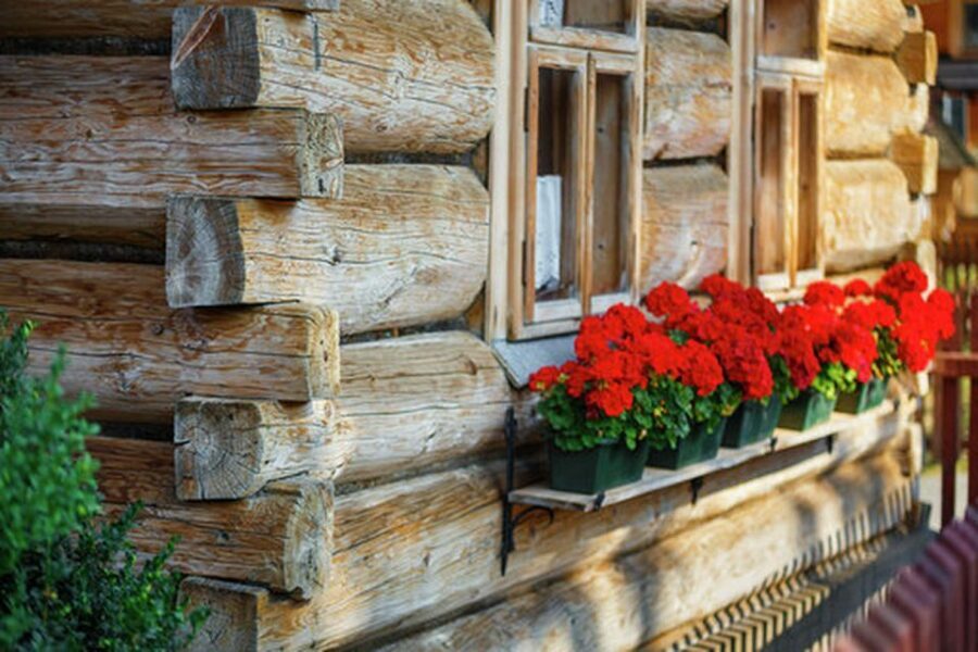 From Krakow: Zakopane and Dunajec River Rafting Tour - Zakopane + Dunajec: a day with two very different tempos