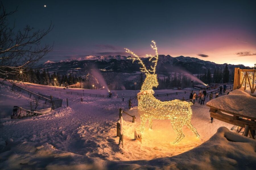 From Krakow: Zakopane & Hot Thermal Springs Private Tour - Chocholowska Thermal Baths: the payoff for the long day