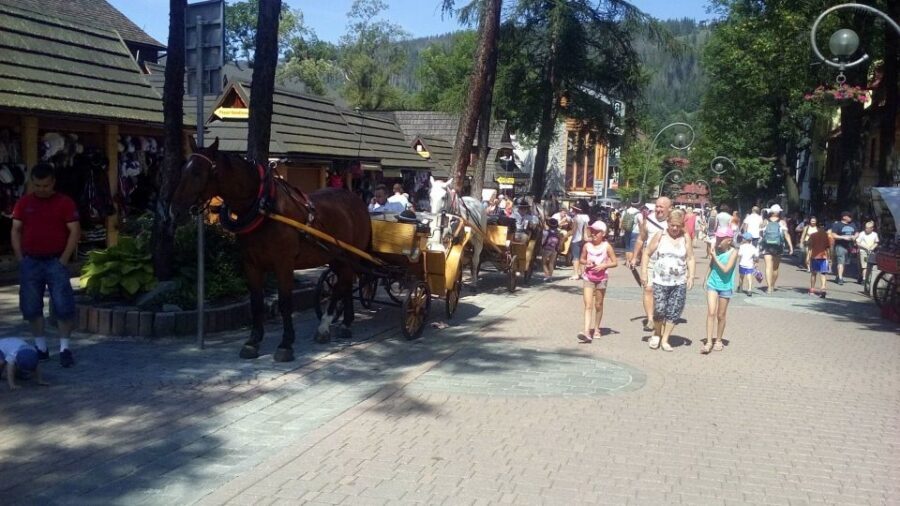 From Krakow: Zakopane & Hot Thermal Springs Private Tour - Guides and drivers: the human factor that lifts the day