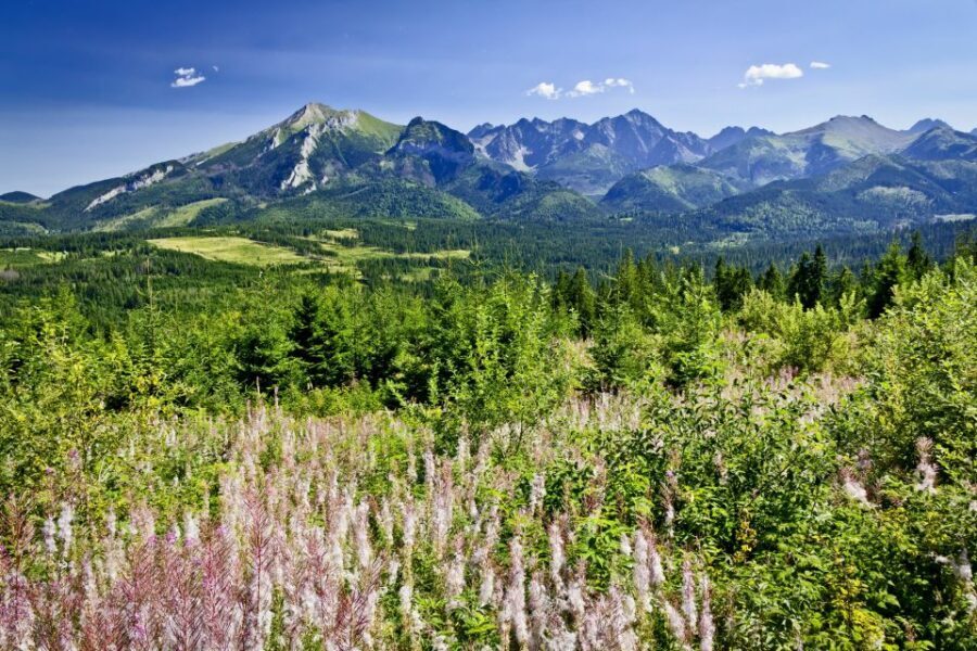 From Krakow: Zakopane Tatra Mountains & Hot Springs Tour - From Krakow to Zakopane: a long, satisfying sightseeing day
