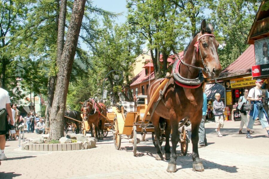 From Krakow: Zakopane & Tatra Mountains Tour - Highlander cheese tasting: the most enjoyable part you can actually bring home