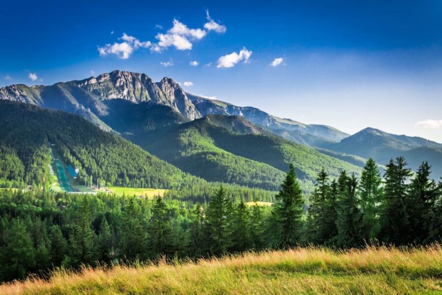 From Krakow: Zakopane Tour with Gubalowka Funicular & Museum - Oscypek cheese tasting: a 30-minute stop that actually makes sense