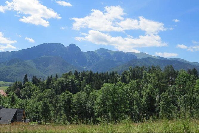 Full-Day Zakopane and Slovakia Treetop Walk From Krakow - Key Highlights You’ll Care About