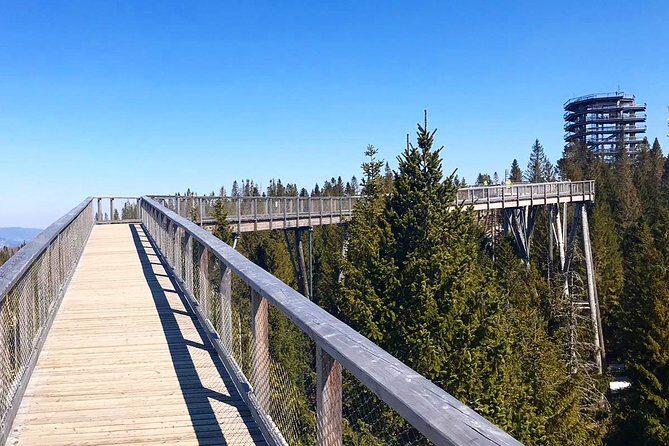Full-Day Zakopane and Slovakia Treetop Walk From Krakow - Oscypek and Small Comforts That Make the Day Feel Worth It