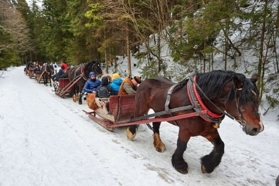 Horse Sleigh 2-3h Ride with Hot Springs or Zakopane Combos - Zakopane plus a sleigh and spa: why this day works