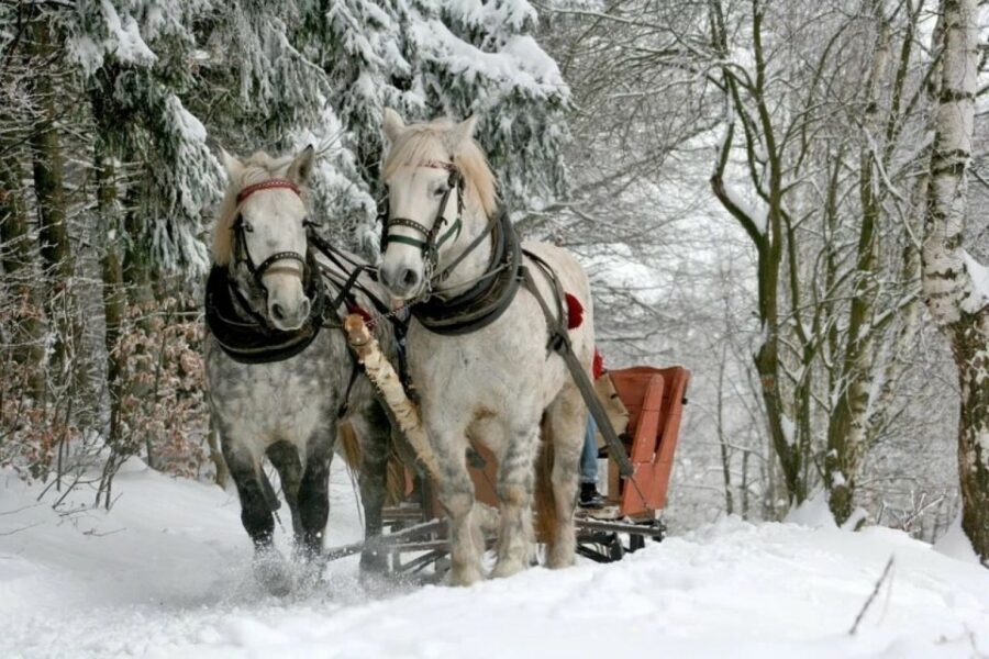 Horse Sleigh 2-3h Ride with Hot Springs or Zakopane Combos - Vodka and cottage cheese tasting: the small stop that anchors the day