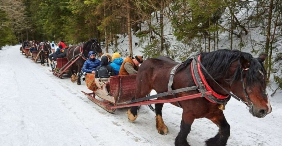 Horse Sleigh 2-3h Ride with Hot Springs or Zakopane Combos - Krupówki, Chocholów Village, and wooden chapels: the human side of Zakopane