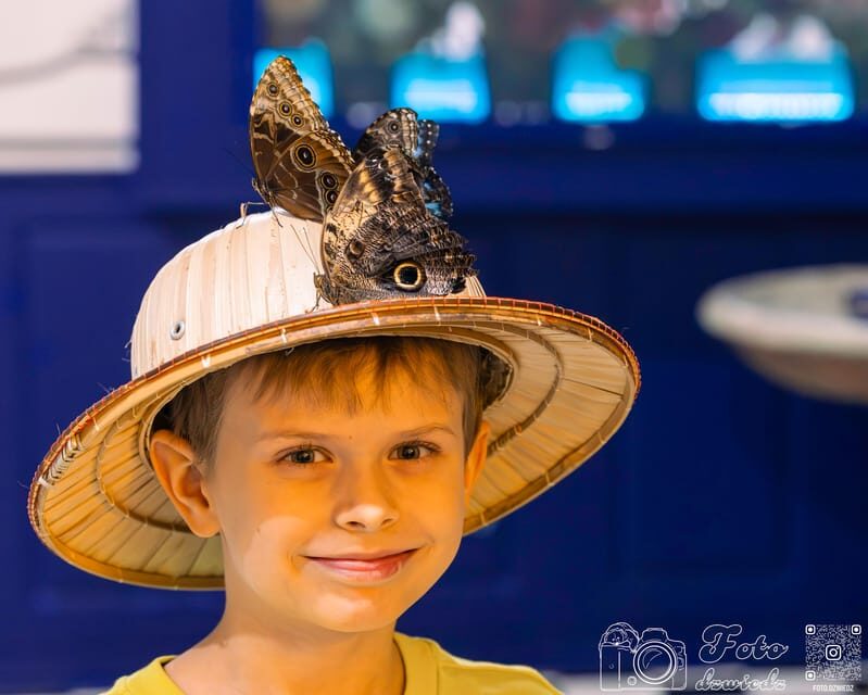 Krakow: 4 Mazes and Living Butterfly Museum Entry Ticket - Key highlights at Krakow House of Attractions