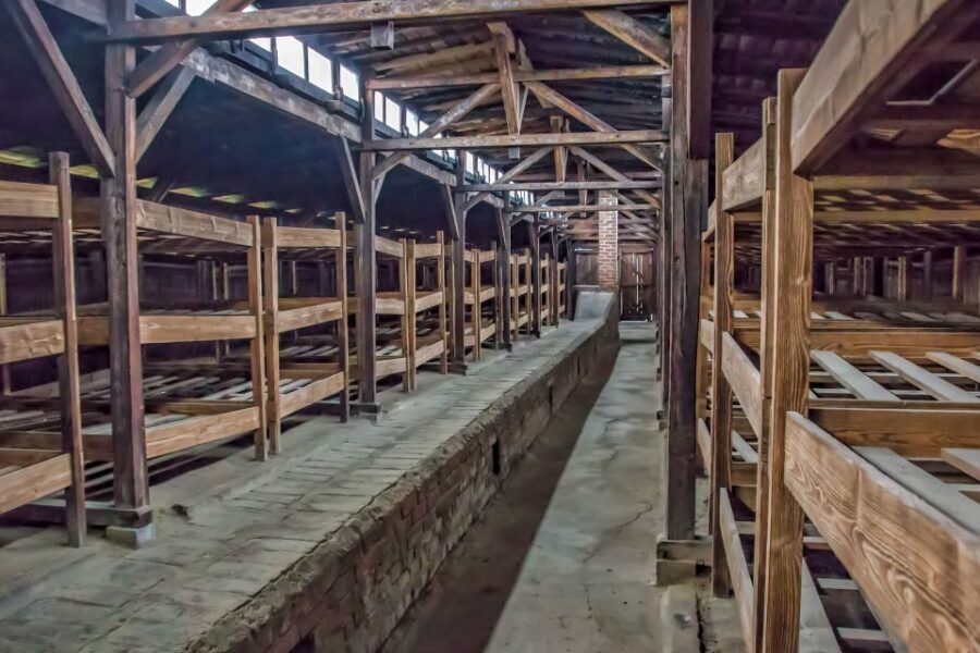 Krakow: Auschwitz and Wieliczka Salt Mine Combo Tour - Price and Value: What You’re Paying For at $181