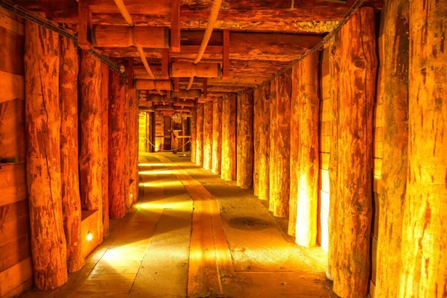 Krakow: Auschwitz-Birkenau and Wieliczka Salt Mine Day Trip - The 11-hour rhythm: how this Krakow day trip stays on track