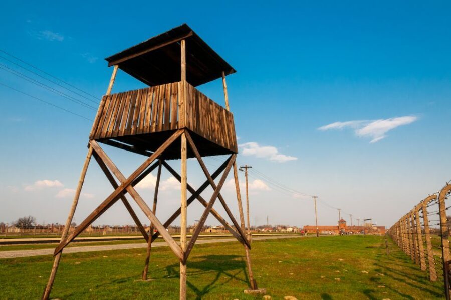 Krakow: Auschwitz-Birkenau and Wieliczka Salt Mine Day Trip - Who this day trip fits best (and who should skip it)