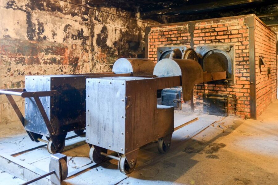 Krakow: Auschwitz-Birkenau Day Trip with Tour Leader - Ticket queues and peak-season timing: what to expect and how to handle it