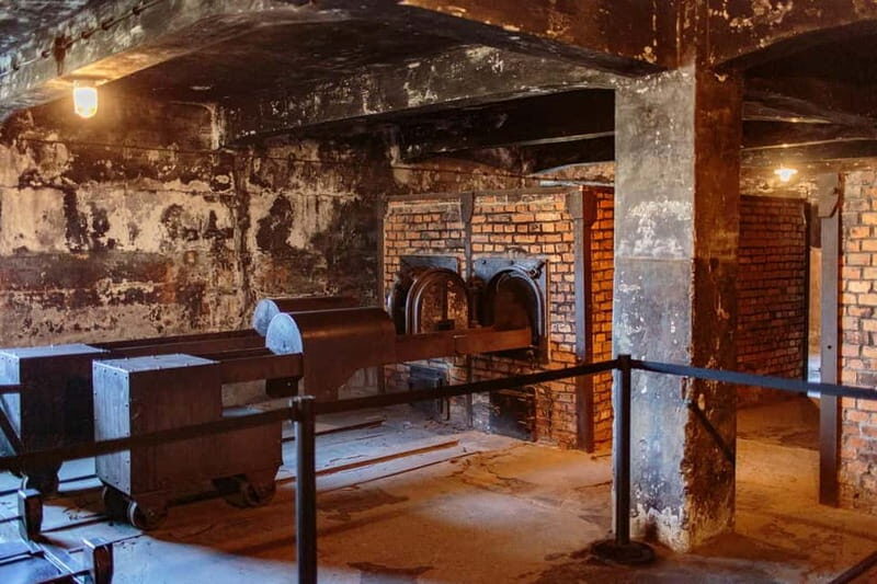 Krakow: Auschwitz-Birkenau Entry Ticket and Transfer - Key highlights I’d plan around