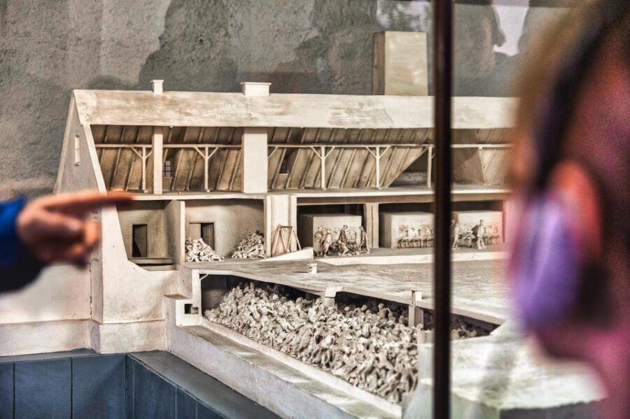 Krakow: Auschwitz-Birkenau Guided Tour and Private Transport - Should you book this Krakow Auschwitz-Birkenau private tour?