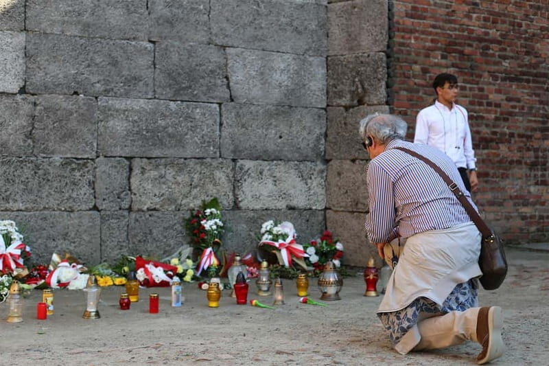 Krakow: Auschwitz-Birkenau Private Guided Tour - Timing that can protect the rest of your Krakow day