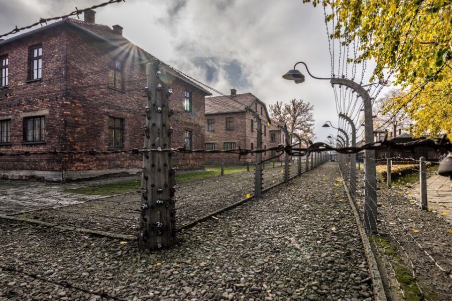 Kraków: Auschwitz-Birkenau & Salt Mine Full-Day Guided Tour - Price and Value: Is $27 Per Person a Smart Deal?