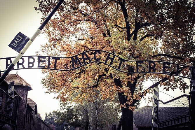 Krakow: Auschwitz-Birkenau Shared English Tour and Transfer - Timing reality check: why the day can feel rushed (and how to handle it)