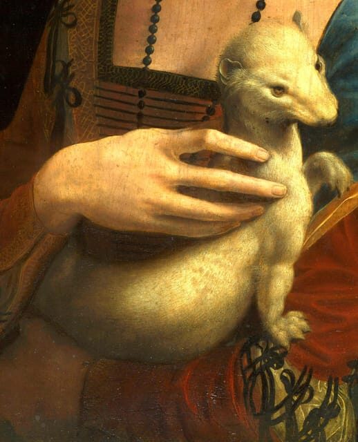 Krakow: Czartoryski Museum Guided Tour in English - Key moments worth clocking