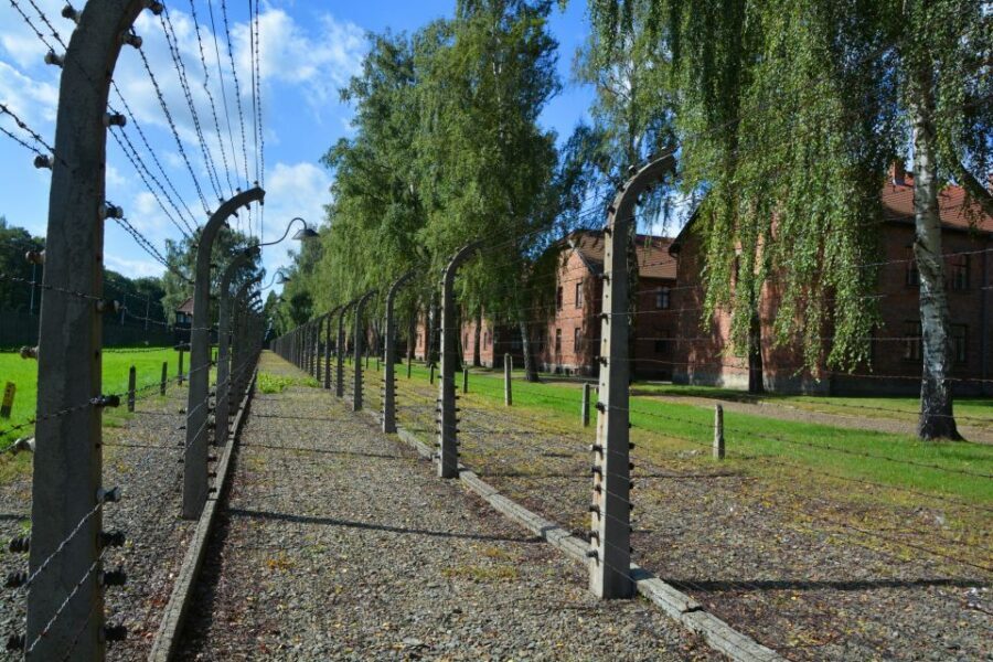 Krakow: Guided Auschwitz Birkenau Tour - The transfer: moving from Auschwitz I to Birkenau